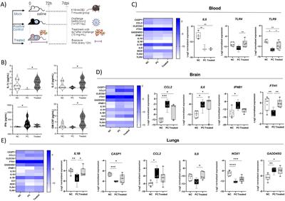 Immunomodulatory effect of bovine lactoferrin during SARS-CoV-2 infection